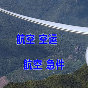 海浪航空运输快递-选东方航空和上海航空