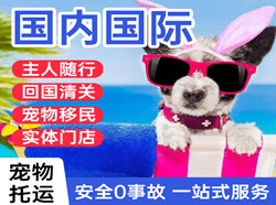 海浪航空运输国际宠物托运 【国